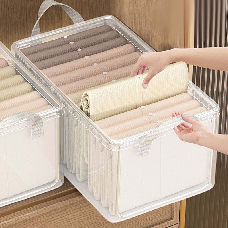 Transparent Steel Frame Storage Box