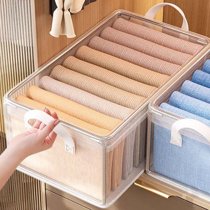 Transparent Steel Frame Storage Box